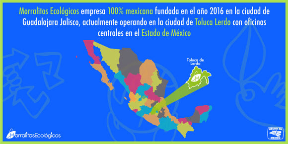MODULO LED 12V 20 PIEZAS – Interled Mexico/Morralitos Ecologicos